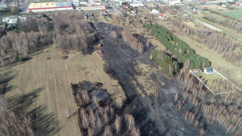 Ogromny pożar w Zduńskiej Woli. Spłonęło ponad 10 hektarów nieużytków