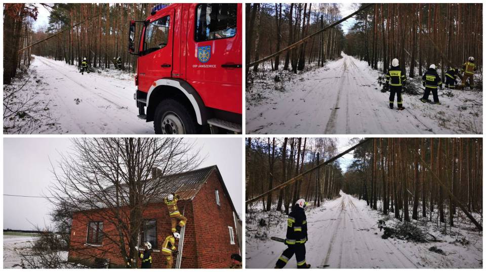 Powalone gałęzie i drzewa, uszkodzone dachy. Zduńskowolscy strażacy usuwają skutki burzy śnieżnej